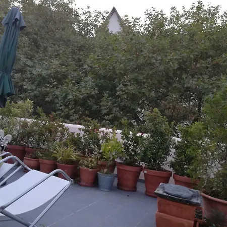 Cozy Independent Homestay