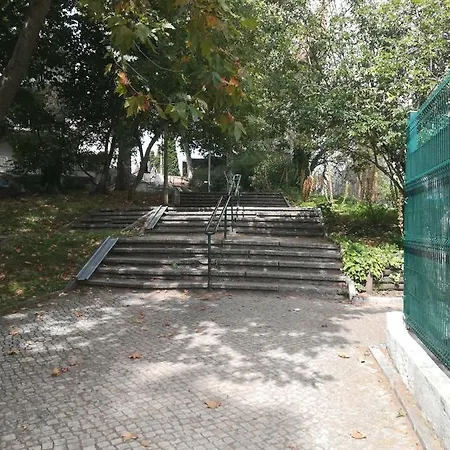 Cozy Independent Homestay